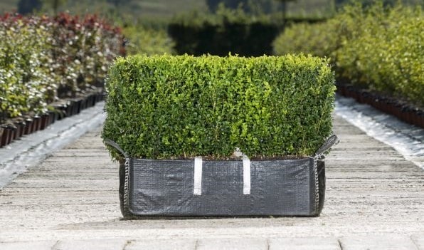 Instant Hedge Ready Bag