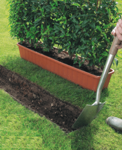 Planting Guide for Instant Hedge