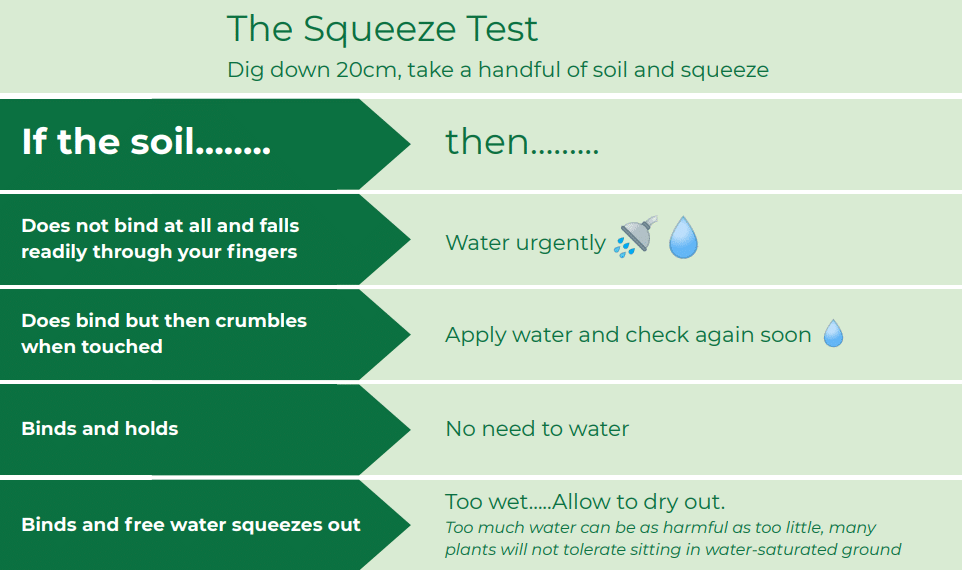 the squeeze